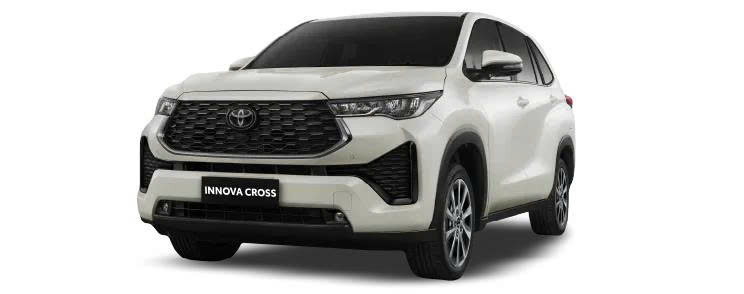 Innova Cross 12